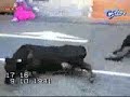 Dumb people doing even dumber things