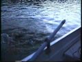 Rheinwallervideo Ebro 8 Rheinwallervideo Ebro 8