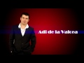 Adi de la Valcea - Mandruta -Manele Noi 2012 - Download Originala
