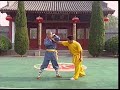 Shaolin Kong fu 32 Joint-Lock methods (qin na san shi er shou)
