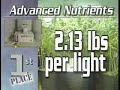 General Hydroponics Discover the Truth