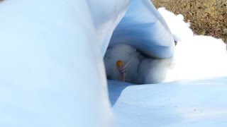 As férias perfeitas em video motion