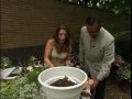 How To Plant A Water Wise Container Garden - WGN 9 News