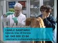 Parassiti dei cani Parassiti dei cani