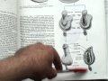 post_thumbnail