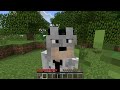 Minecraft Mods - Xray 1.7.2 Review and Tutorial (+WAYS TO PREVENT XRAY ON SERVERS)