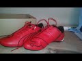 Ferrari Puma shoe review