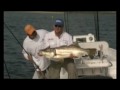 EXKLUSIV NUR BEI UNS: CHEW ON THIS CPT BEN CHANCEY 03