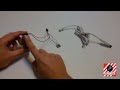 Cargador de Movil o Celular Casero USB | Experimento Casero
