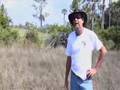 Skunk Ape Documentary (Florida's BIGFOOT/SASQUATCH) (Short Version)