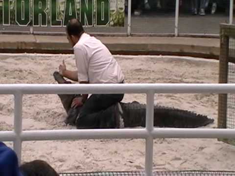 Gatorland orlando coupons