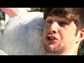 Anthony's Death
