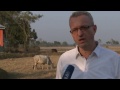 Überall Reis - Hilfe für die Reisbauern in Bangladesch