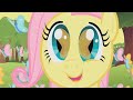FLUTTER