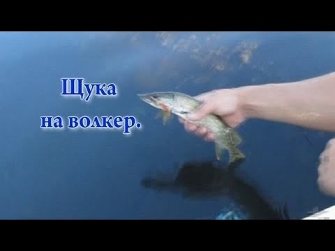 как ловить в зарослях как ловить в зарослях