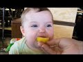 Cute Babies Tasting Lemon for the Very First Time