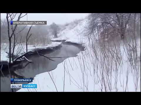 Появилось видео с места гибели детей в кузбасской реке