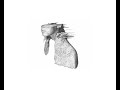 Coldplay - A Rush Of Blood To The Head - (A Rush Of Blood To The Head)