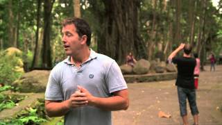 Repórter atacado por Macaquinho