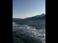 Seward Halibut Charter