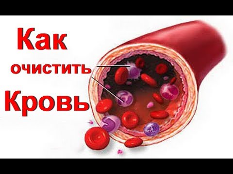 Курс очищение крови Курс очищение крови