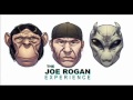 Joe Rogan breaking sh!t down.