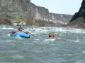 Almost Done - http://www.idahoguideservic... - Idaho White Water adventures with Idaho Guide Service in Twin Falls and Riggins Idaho. Raft the Snake and Salmon Rivers.
http://www.idahoguideservic... - Idaho White Water adventures with Idaho Guide Service in Twin Falls and Riggins Idaho. Raft the Snake and Salmon Rivers.