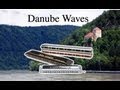 Danube Waves by Ivanovici - Harmonica trio