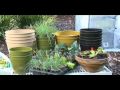 Organic Greenhouse Part 2 Container Gardening