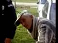 Serbian Drunk Driver Alcohol Test Fail
