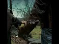 Nicolay - Here (Full Album)