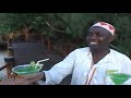 Visit Tanzania - Africa Travel Channel