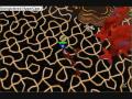 Fire Cape Guide - With Guthans