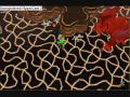 Fire Cape Guide - With Guthans