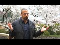 لقطات مميزة - هدم المباني في اليابان