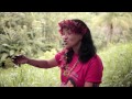 Belo Monte, Anúncio de uma Guerra - filme completo