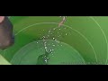 Massive MERCURY-FILLED Water Balloon - Popped (slow motion Hg)