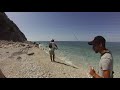Beach Spinning for various fish! 100% C&R