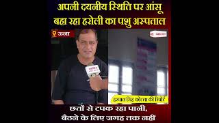 Himachal News: अपनी दयनीय स्थिति पर आंसू बहा रहा हरोली का पशु अस्पताल