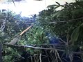 LVMPD Tackles the Rising Problem of Marijuana Grow Houses