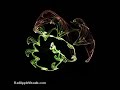 Lorenz Strange Attractor Evolution