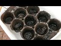 Cleaning Cast Iron with Electrolysis