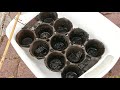 Cleaning Cast Iron with Electrolysis