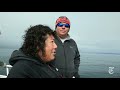 Whales and Anchovies - Wildlife Watching in Monterey Bay