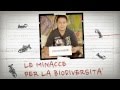 La biodiversità - 4