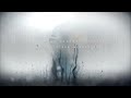 Animals As Leaders -