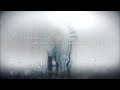 Animals As Leaders -