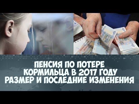 мог Сумма пенсии по потере кормильца в 2017 ужалил