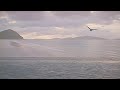 Caribbean Island Music Relaxing Romantic LATIN JAZZ Lounge Tropical Instrumental Dance Songs Video