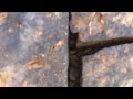 How to Practice Nugget Hunting When You are Not near the Gold Areas